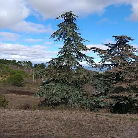 Dans Les Collines Montirat (Aude)