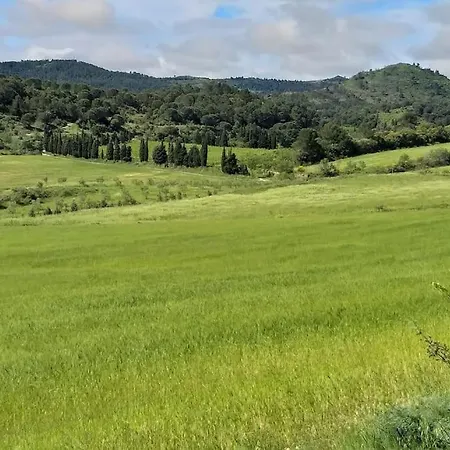 Dans Les Collines