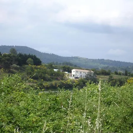 Dans Les Collines